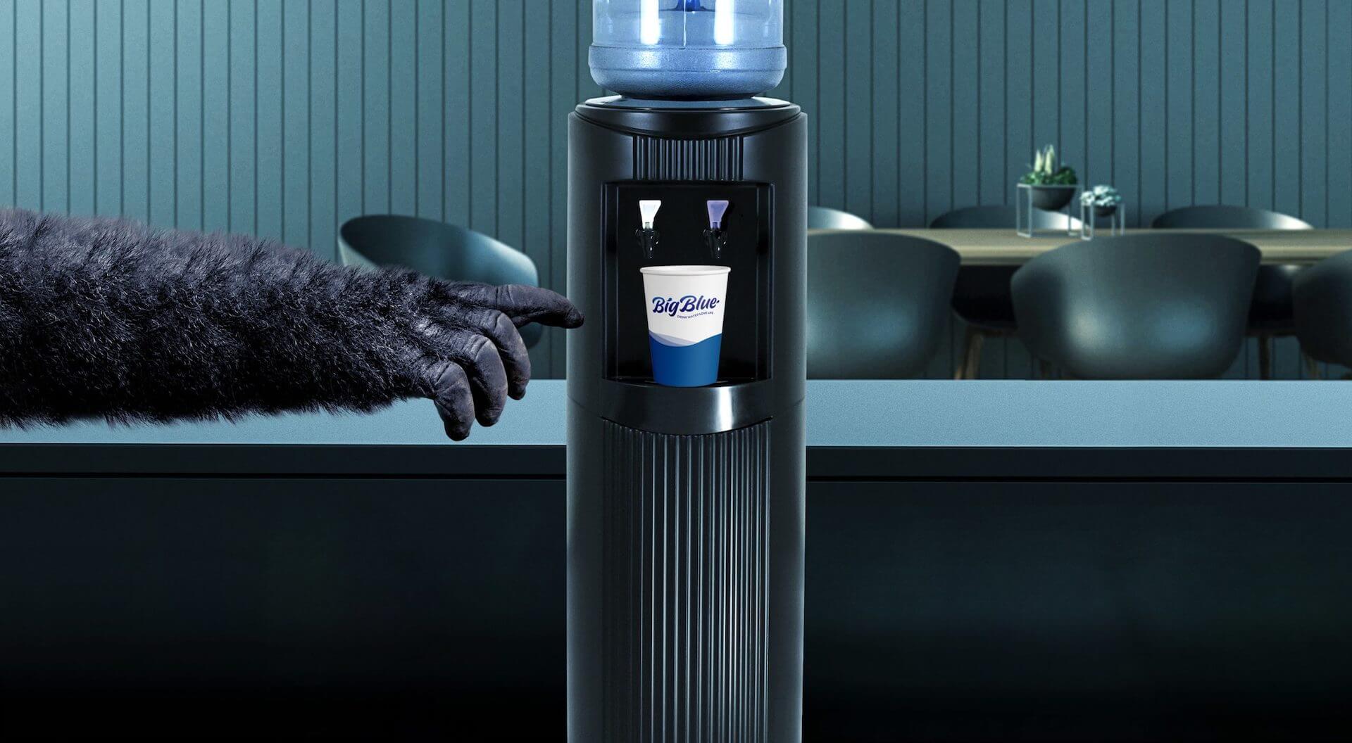 Water Coolers Water Delivery Company NZ Big Blue